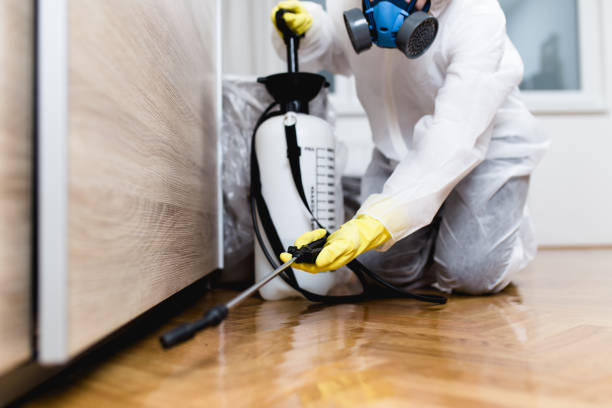 Best Best Pest Control Companies  in Soh Jordan, UT