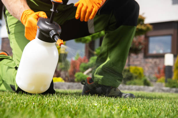 Professional Pest Control in South Jordan, UT