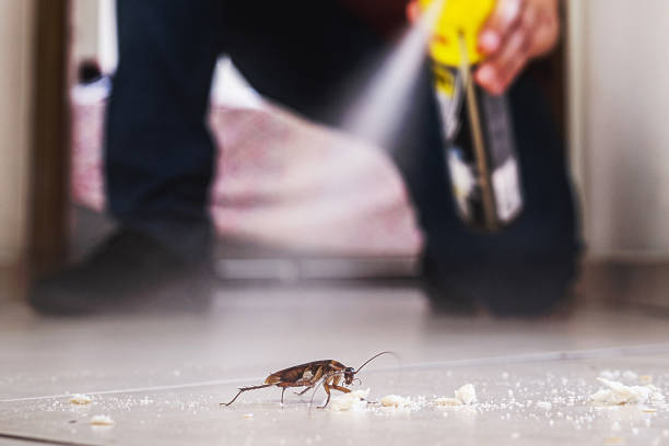 Best Best Pest Control Companies  in Soh Jordan, UT